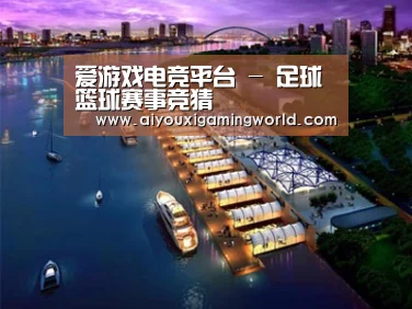 案例展示八