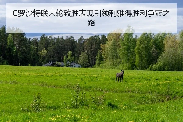C罗沙特联末轮致胜表现引领利雅得胜利争冠之路