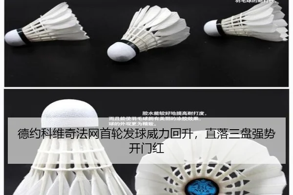 de-yue-ke-wei-qi-fa-wang-shou-lun-fa-qiu-wei-li-hui-sheng-zhi-luo-san-pan-qiang-shi-kai-men-hong-3-758.jpg