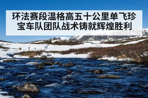 环法赛段温格高五十公里单飞珍宝车队团队战术铸就辉煌胜利
